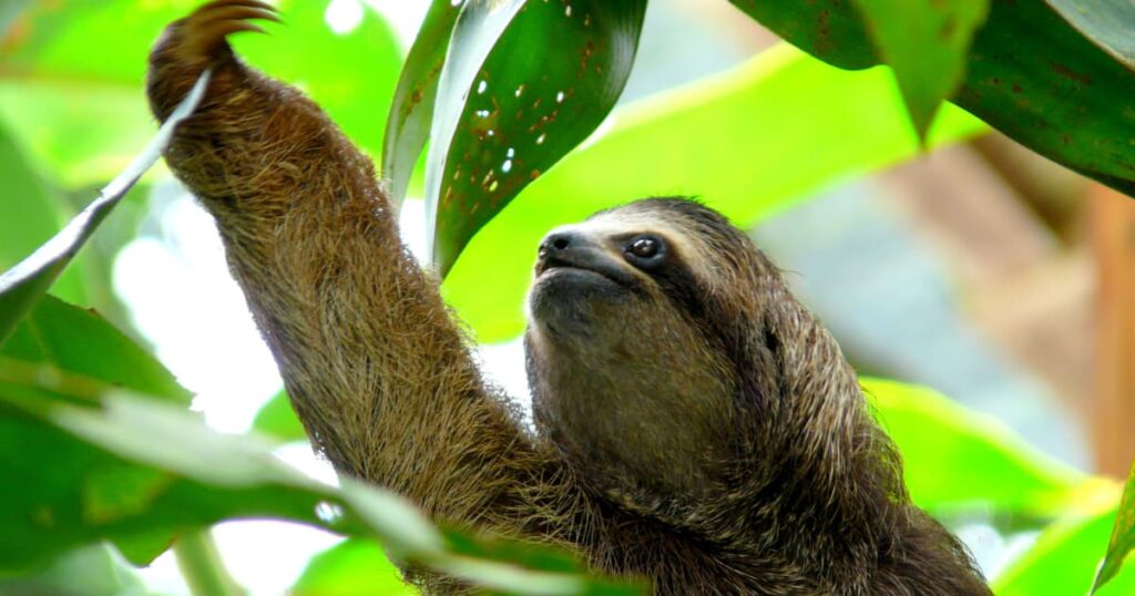 Best Place to Visit in Costa Rica
