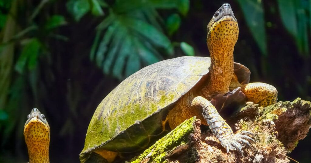 Best Place to Visit in Costa Rica