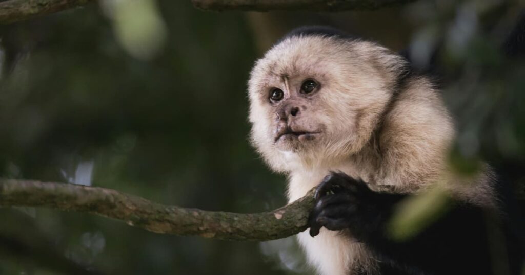 Best Place to Visit in Costa Rica