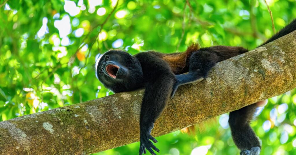 Best Place to Visit in Costa Rica