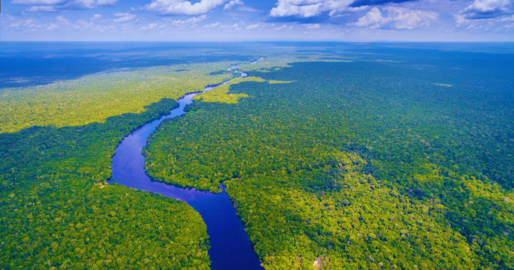 The Amazon: Planet's Green Heart