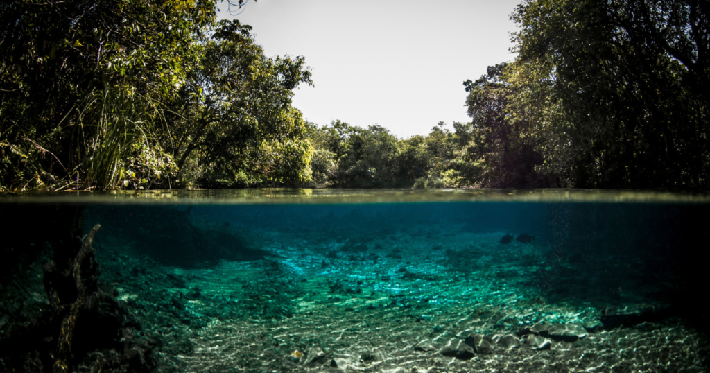 Bonito: Ecotourism Excellence